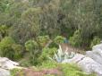  le jardin exotique vu du haut du rocher